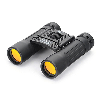 GV1 10x25 DCF